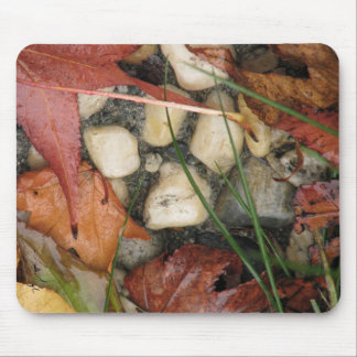 Tapis De Souris Collage d'automne