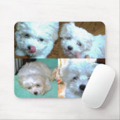 Tapis De Souris Collage de chiot de Riley Malti-poo (Avec souris)
