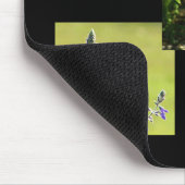 Tapis De Souris Collage de colibri (Coin)