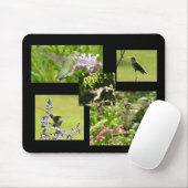 Tapis De Souris Collage de colibri (Avec souris)