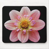 Tapis De Souris Collarette rose Dahlia sur Floral noir (Devant)