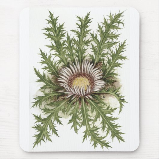 Tapis De Souris Collection argentée de chardon (Devant)