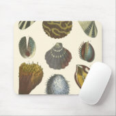 Tapis De Souris Collection Conchology (Avec souris)