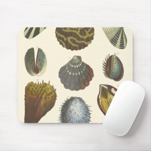 Tapis De Souris Collection Conchology (Avec souris)