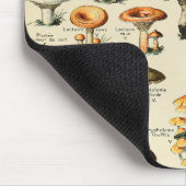 Tapis De Souris Collection de champignons (Coin)