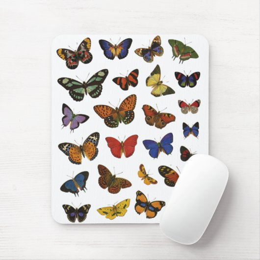 Tapis De Souris Collection papillon (Avec souris)