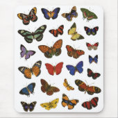 Tapis De Souris Collection papillon (Devant)