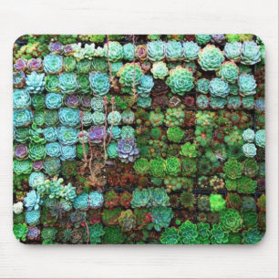 Tapis De Souris Collection Succulente moderne Botanique verte