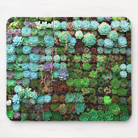Tapis De Souris Collection Succulente moderne Botanique verte (Devant)