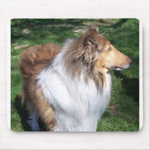 TAPIS DE SOURIS COLLIE