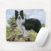 Tapis De Souris Collie Bordure Noire Et Blanche Mousepac (Avec souris)