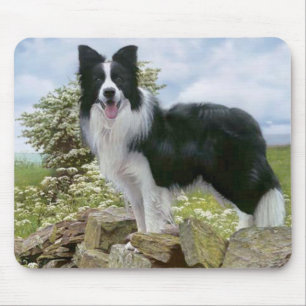 Tapis De Souris Collie Bordure Noire Et Blanche Mousepac