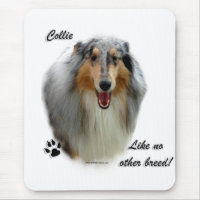 Collie Comme Aucune Autre race