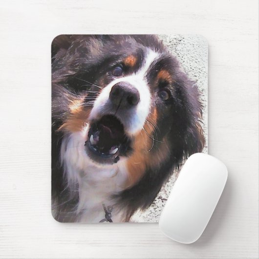 TAPIS DE SOURIS COLLIE FRONTALIÈRE (Avec souris)