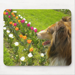 Tapis De Souris Collie N Plus De Tulipes Pad Souris