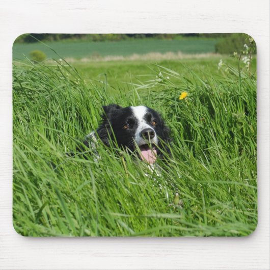 Tapis De Souris Collie noir et blanc en herbe (Devant)