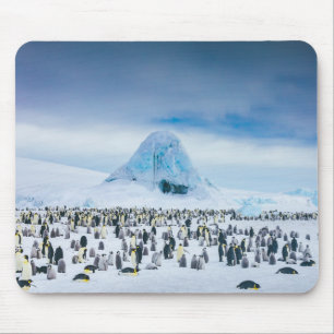 Tapis De Souris Colonie de pingouin d'empereur