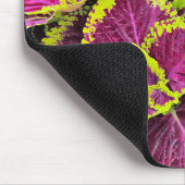 Tapis De Souris Coloré Feuille Coleus (Coin)