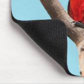 Tapis De Souris Colorful Parrot Portrait Photo (Coin)