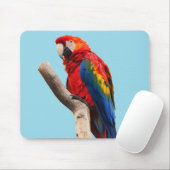 Tapis De Souris Colorful Parrot Portrait Photo (Avec souris)
