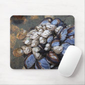 Tapis De Souris Cols de cygne et moules (Avec souris)