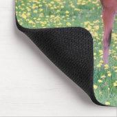 Tapis De Souris Colt dans le champ de Dandelion (Coin)