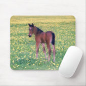 Tapis De Souris Colt dans le champ de Dandelion (Avec souris)