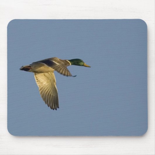 tapis de souris colvert volant dans le ciel ouvert (Devant)