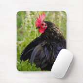Tapis De Souris Combattre le coq (Avec souris)