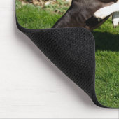 Tapis De Souris Combattre les chiens (Coin)