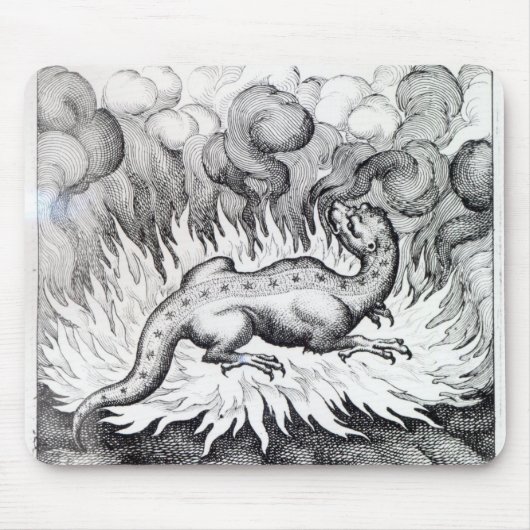 Tapis De Souris Comme vies de salamandre en feu (Devant)