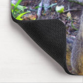 Tapis De Souris Comment ça marche (Coin)