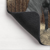 Tapis De Souris Compagnons tranquilles Cheval et Chat Mousepad (Coin)