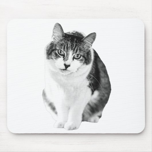 Tapis De Souris Concentration calme et chaleureuse (Devant)