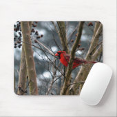 Tapis De Souris Concentration masculine de cardinal (Avec souris)