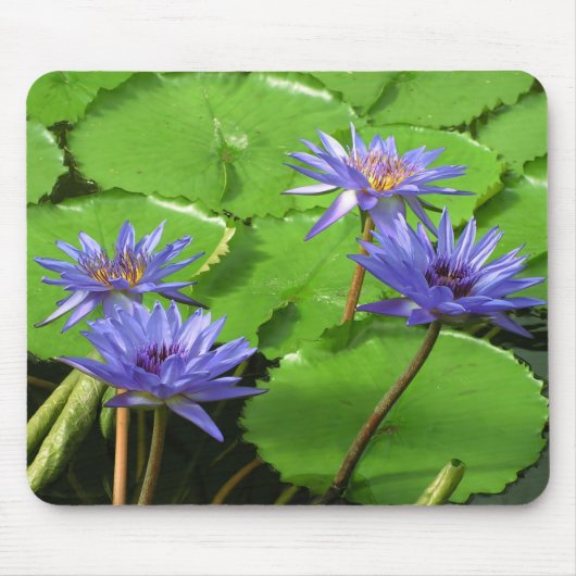 Tapis De Souris Conception botanique florale de nénuphar tropical (Devant)