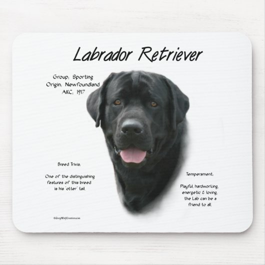 Tapis De Souris Conception de l'historique du Labrador Retriever ( (Devant)