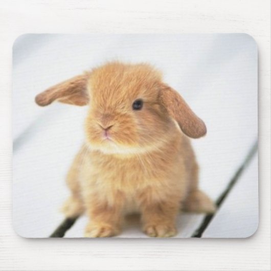 Tapis De Souris Conception heureuse de Pâques de lapin mignon de (Devant)
