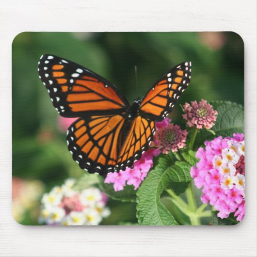 Tapis De Souris Conception magnifique de papillon de monarque (Devant)