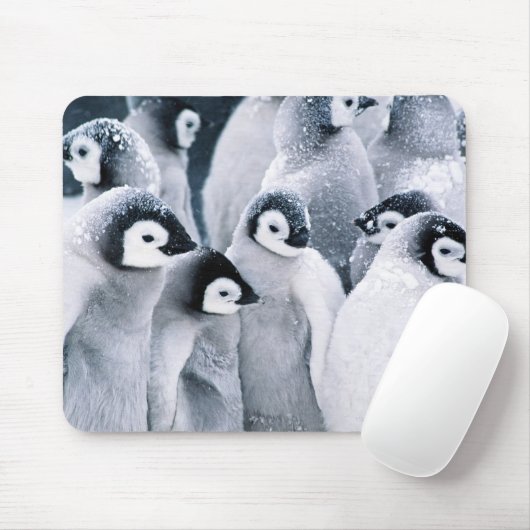 Tapis De Souris conception mignonne de pingouins de pingouin de (Avec souris)