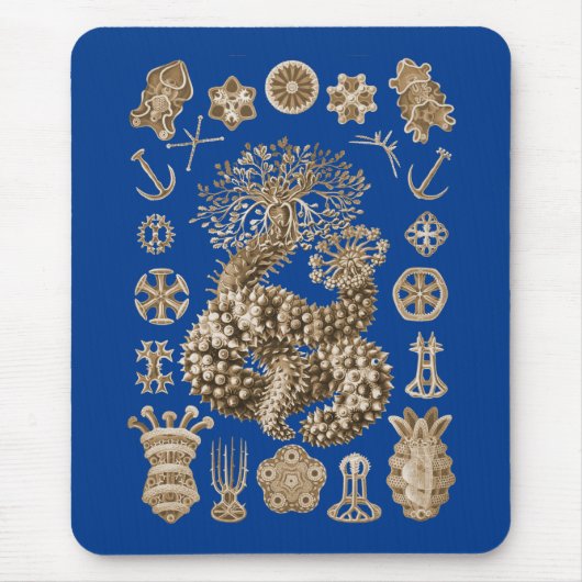 Tapis De Souris Concombres de mer (Devant)