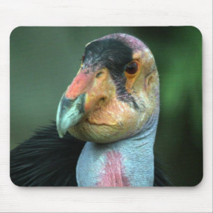 Tapis De Souris Condor de Californie Mousepad