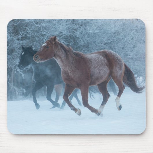Tapis De Souris Conduite de chevaux (Devant)