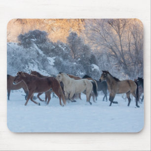 Tapis De Souris Conduite de chevaux en hiver au Hideout Ranch