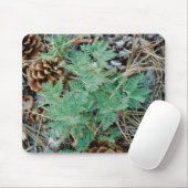 Tapis De Souris Cônes et fougère Mousepad de pin (Avec souris)