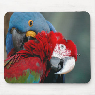 Tapis De Souris Confiance Mousepad