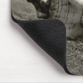 Tapis De Souris Conque noire et blanche Shell (Coin)