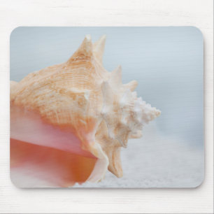 Tapis De Souris Conque Shell la Floride