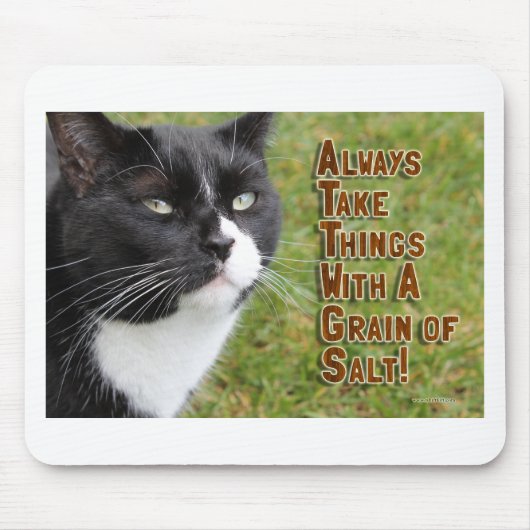Tapis De Souris Conseil épique d'un chat Motivation Slogan Time (Devant)