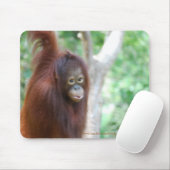 Tapis De Souris Conservation d'animal de jungle d'orang-outan de (Avec souris)